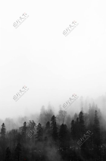 雾气图片