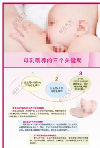 母乳喂养的三个关键期图片