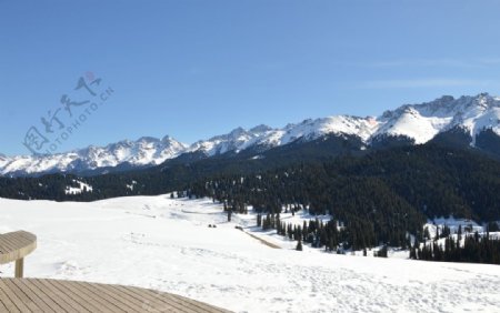 江布拉克雪景图片