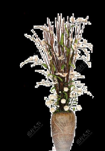 植物素材花卉摆件盆栽图片