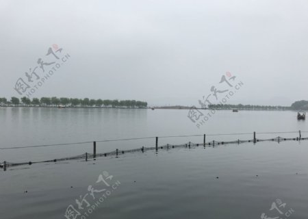 西湖水面图片